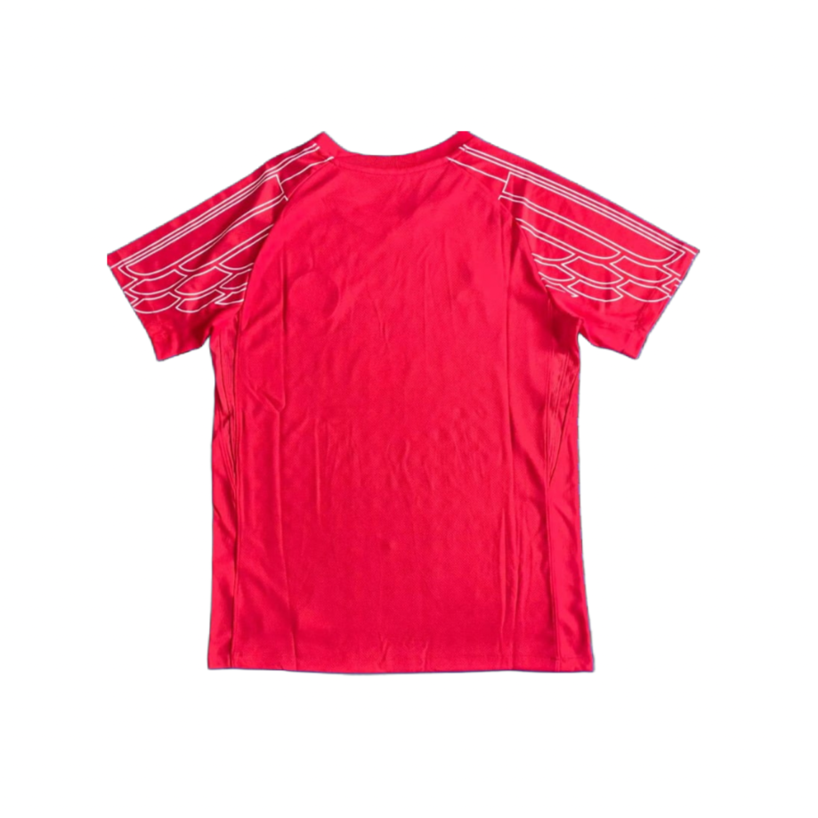 MAILLOT PSG x JORDAN 2025 ROUGE