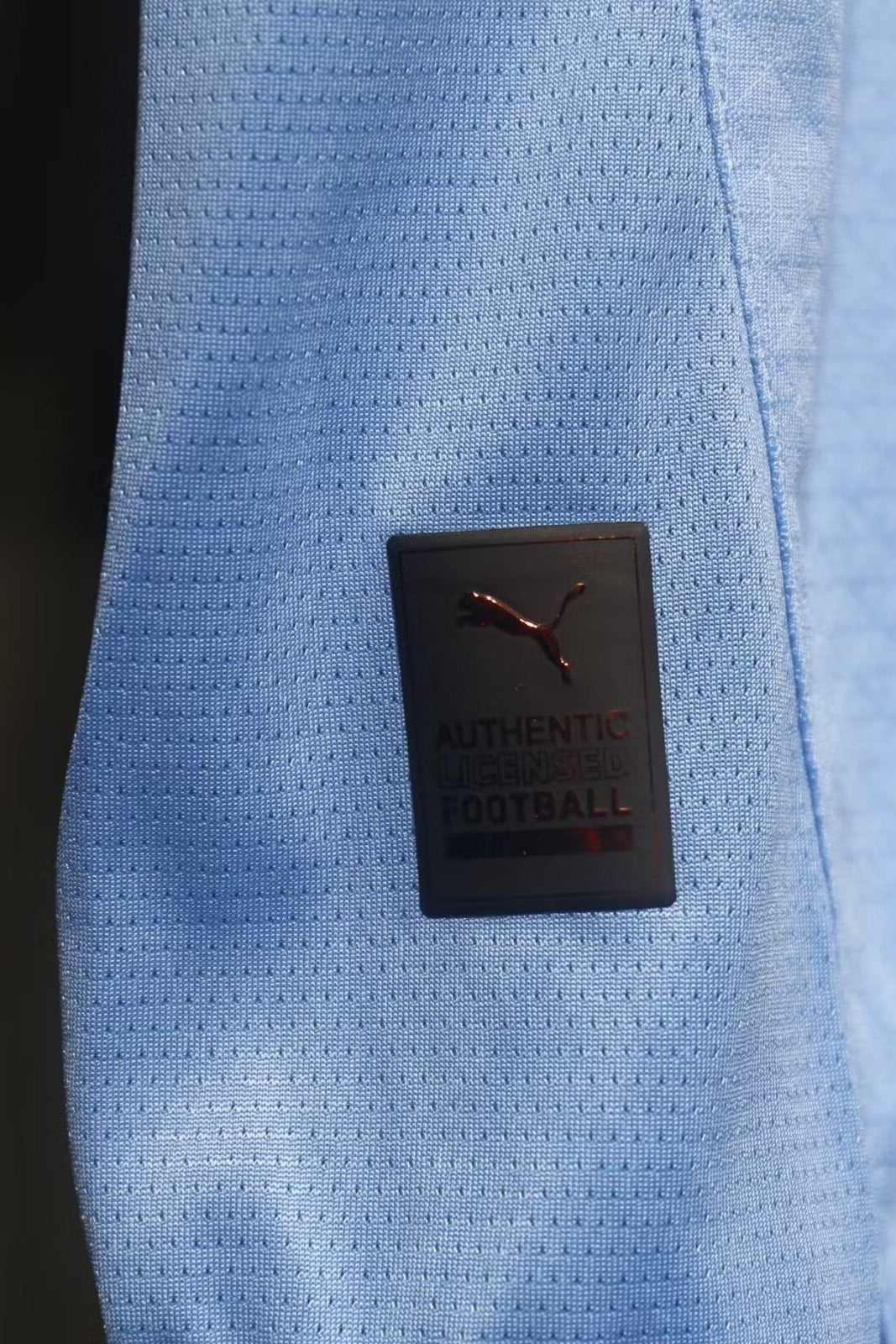 Maillot Manchester City Domicile Version Player 24/25