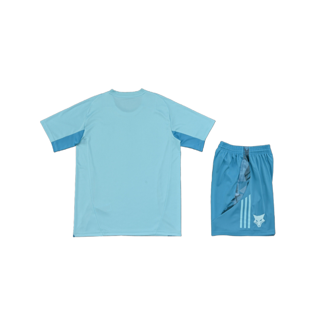 Ensemble Cruzeiro "Bleu" Training