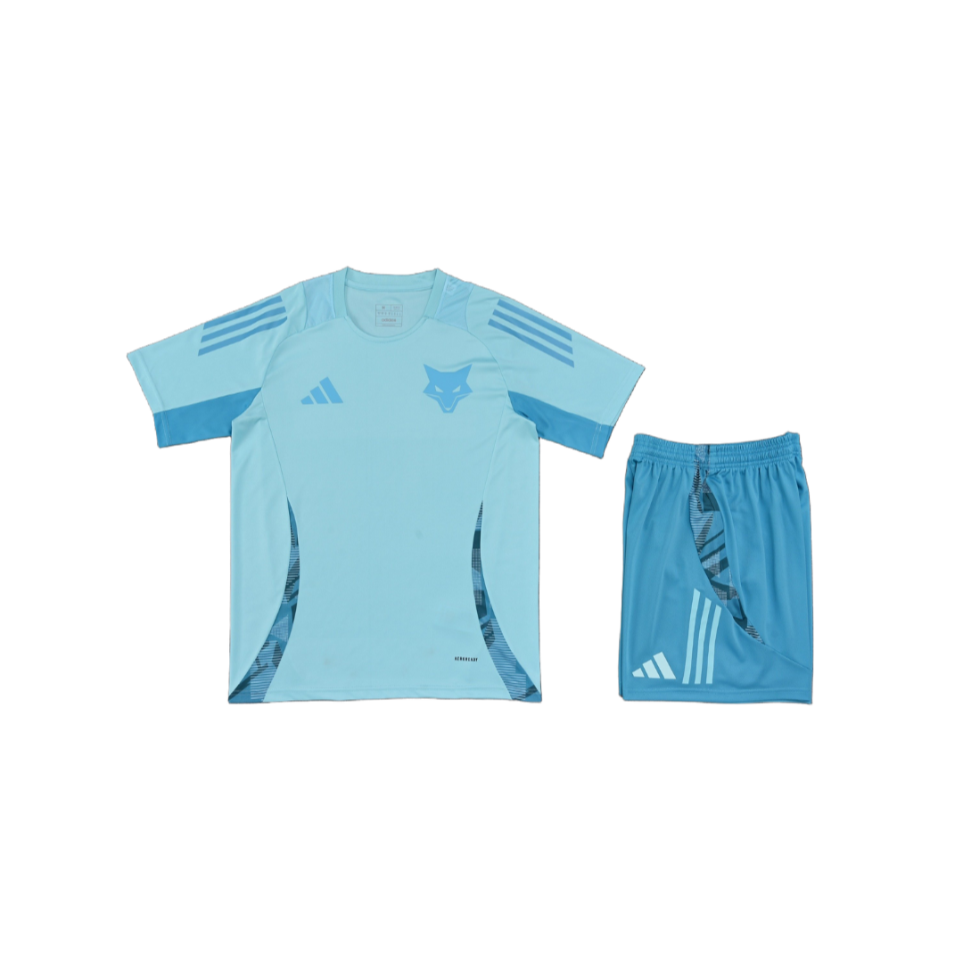 Ensemble Cruzeiro "Bleu" Training