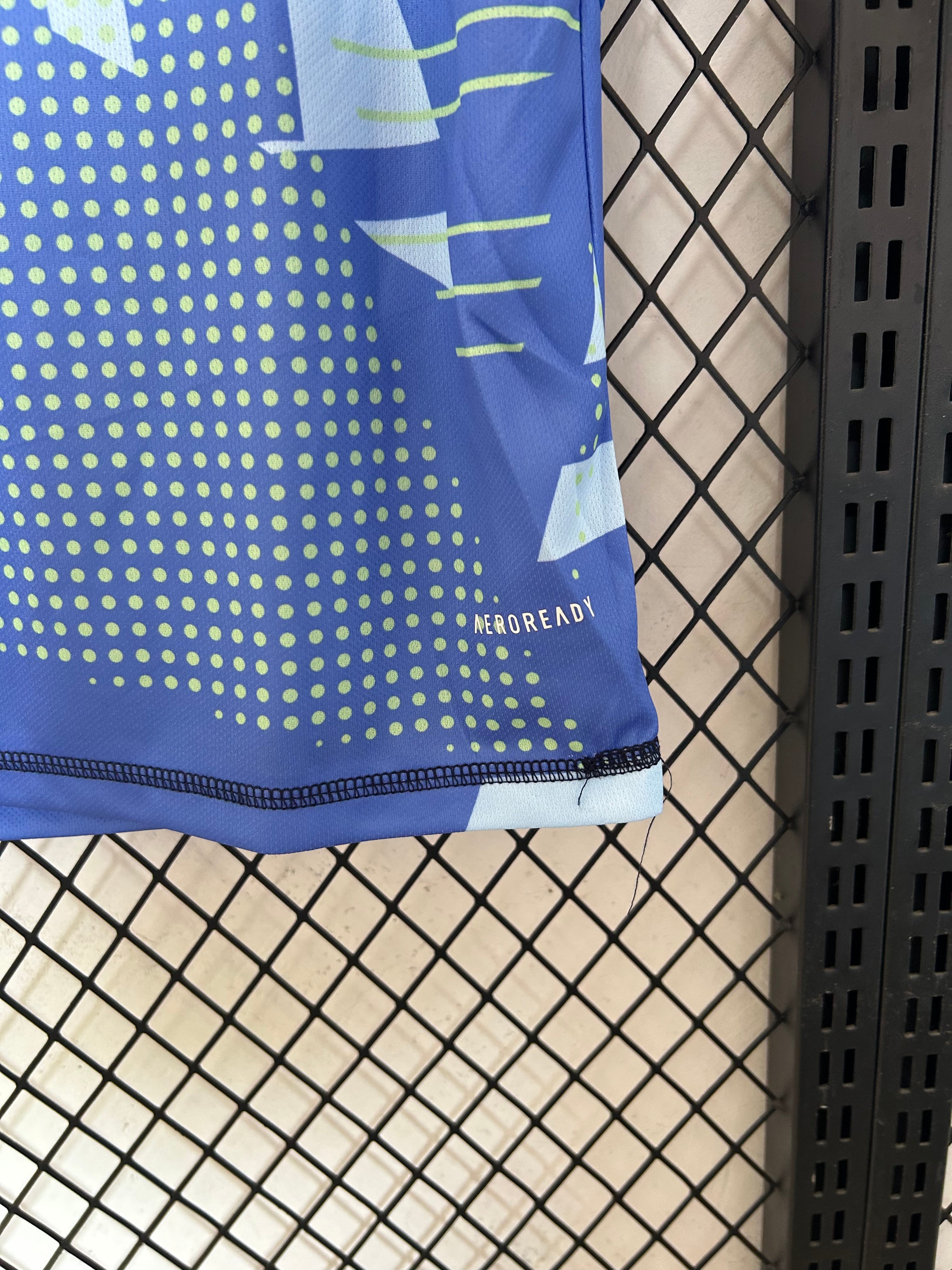 Maillot Manchester United Gardien 24/25