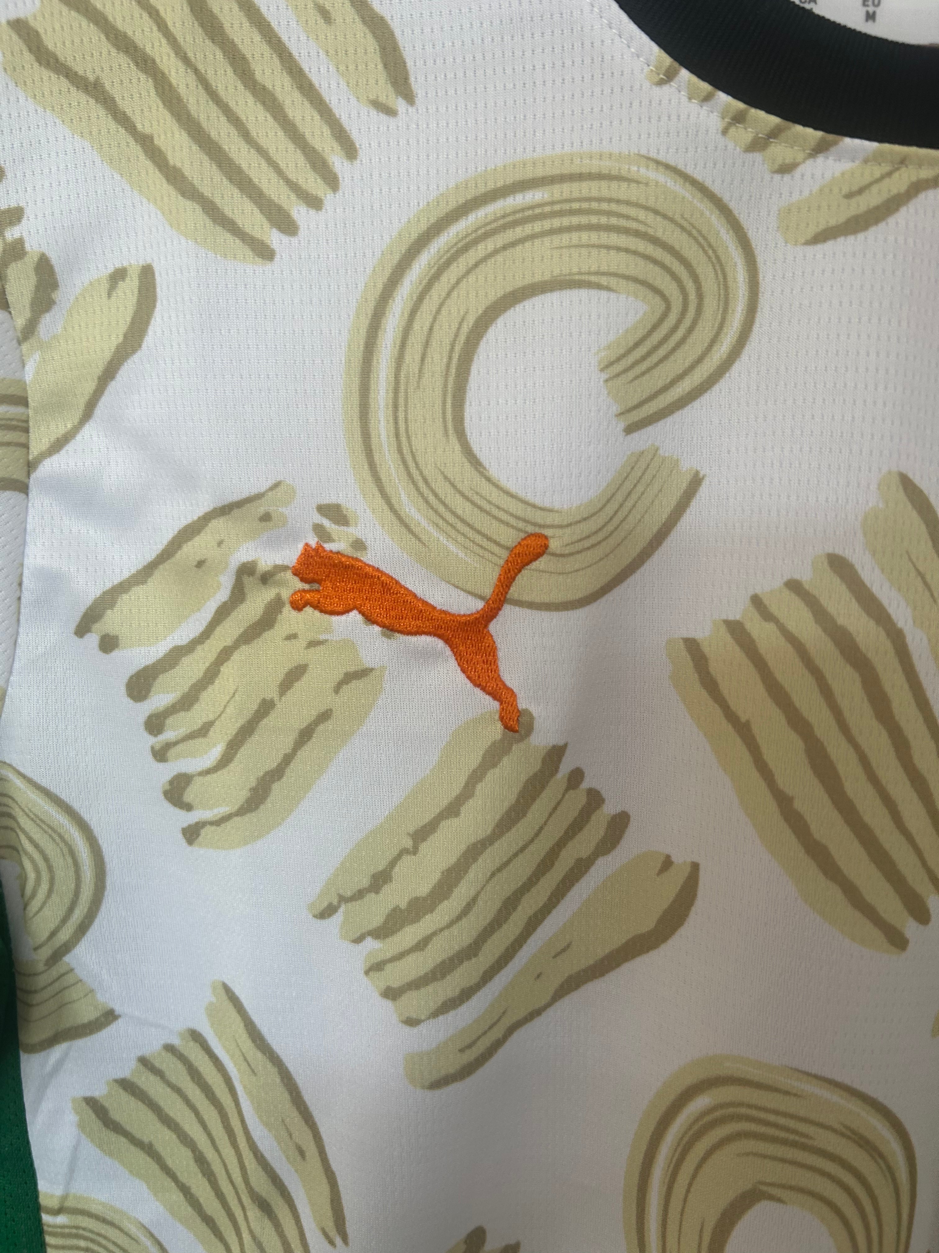 Ivory Coast Away Jersey 24/25