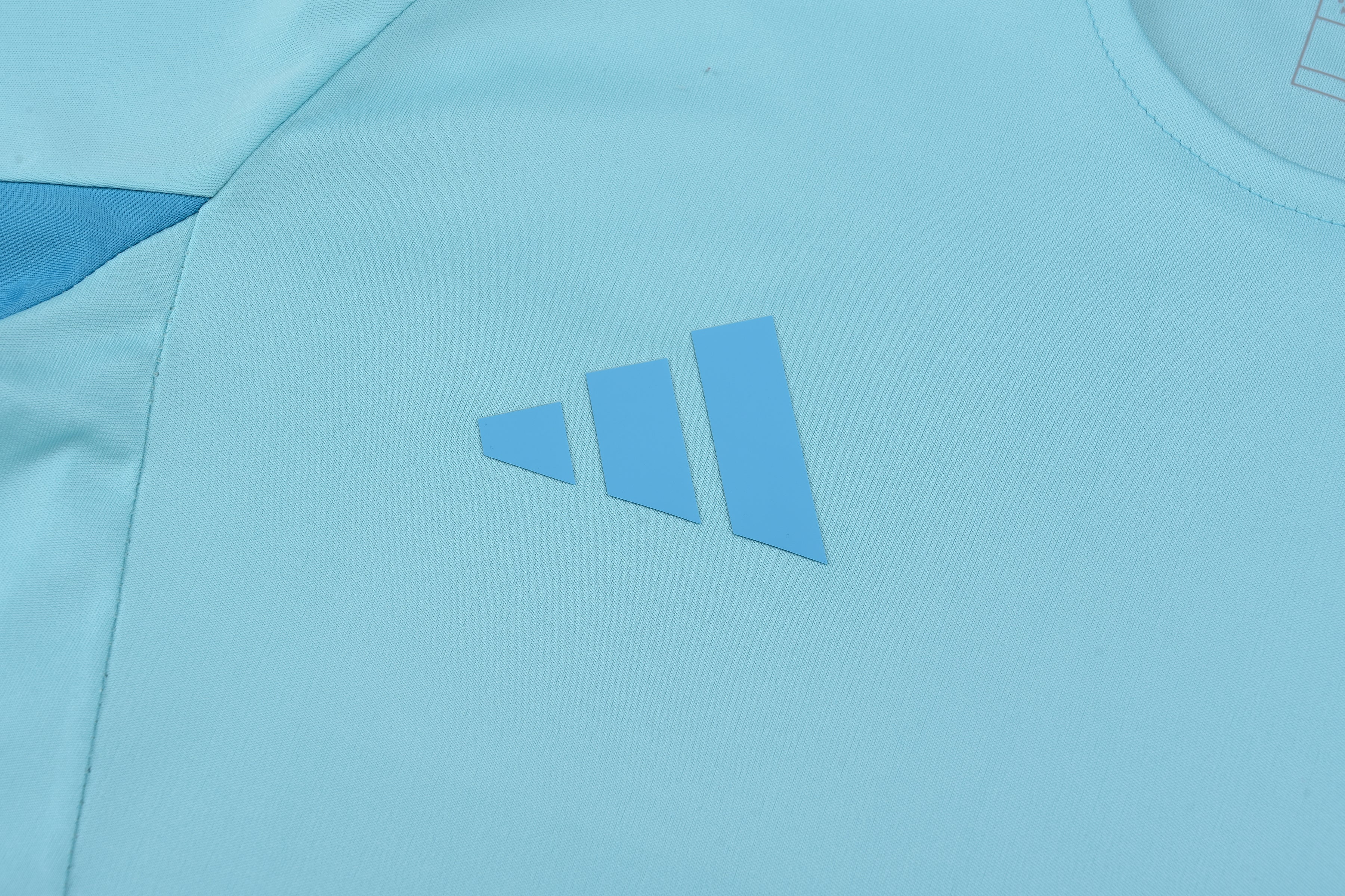 Ensemble Cruzeiro "Bleu" Training