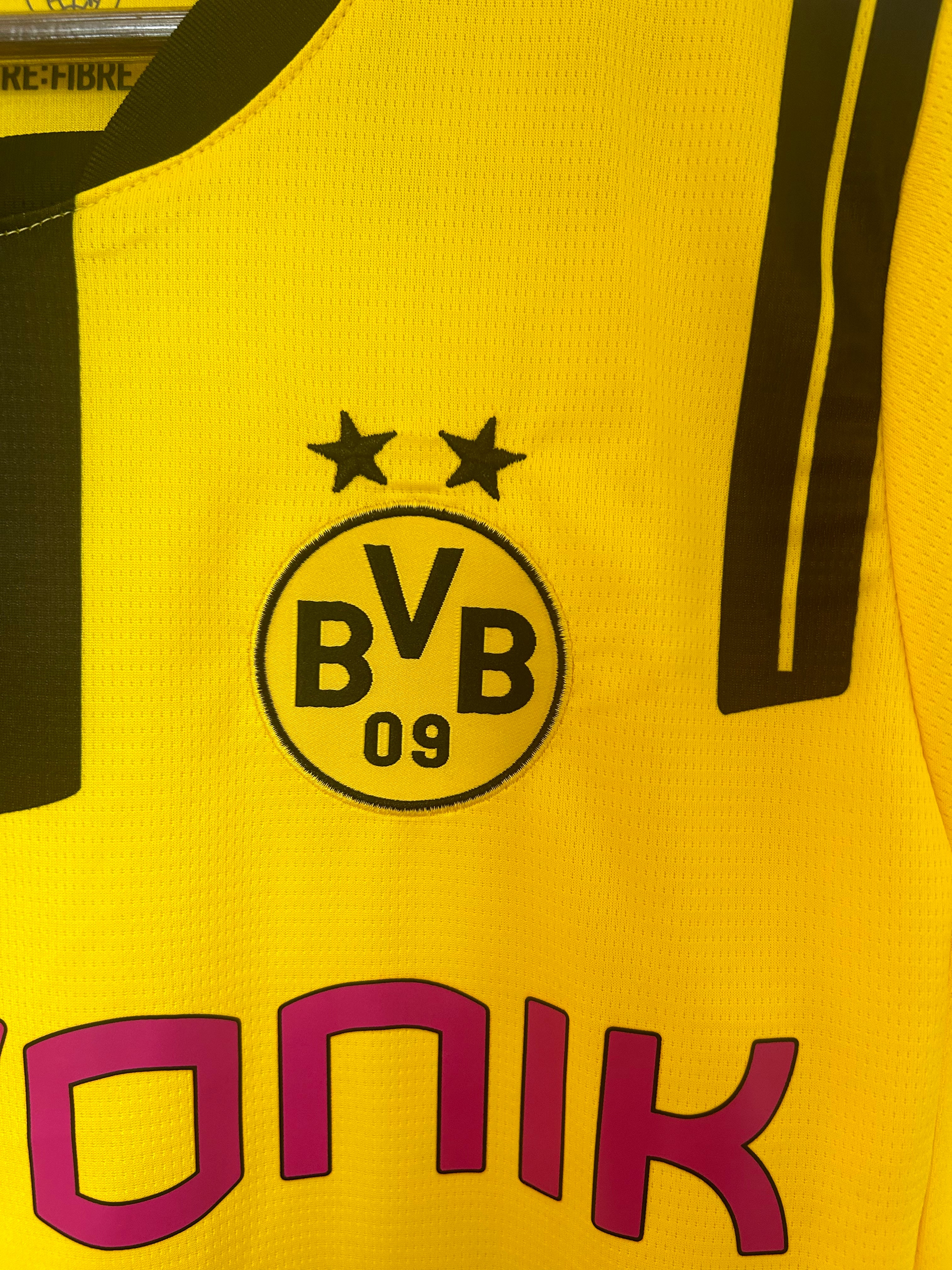 Maillot Dortmund Ldc 24/25