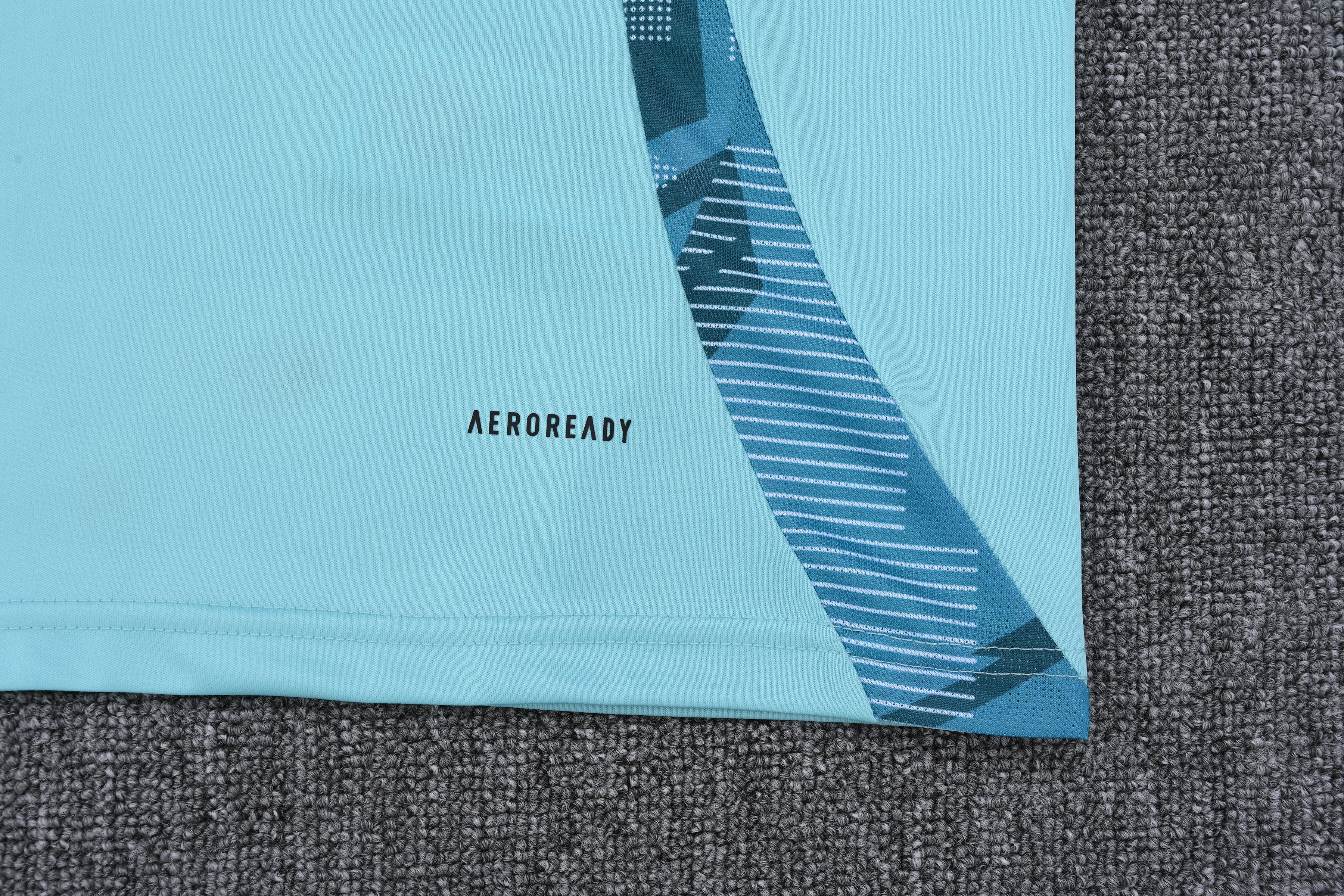 Ensemble Cruzeiro "Bleu" Training